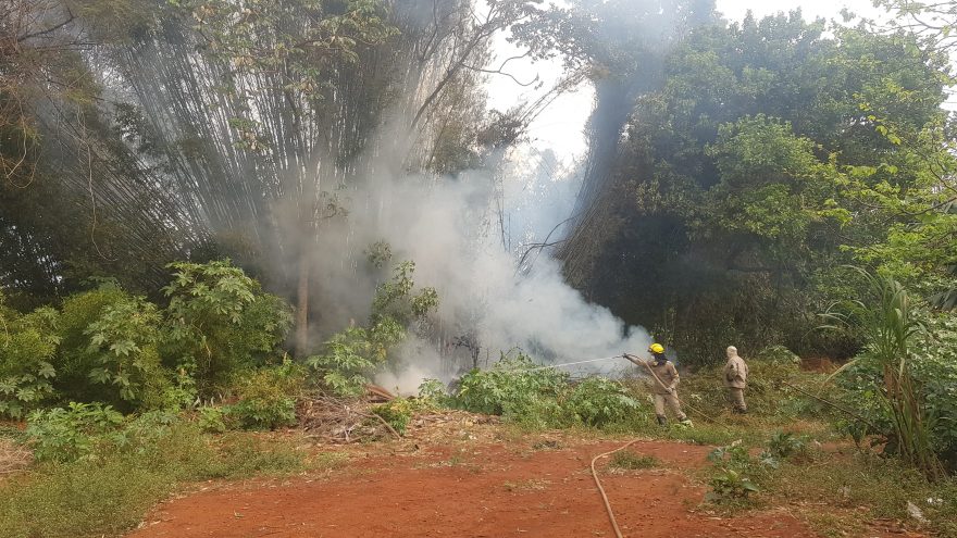Mais um incêndio em vegetação é registrado em Cascavel, desta vez no Santa Cruz