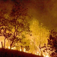 Imagem referente a Queimadas persistem na Amazônia; cidades do PA superam 1 mil focos