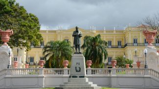 Seis anos após incêndio, Museu Nacional faz apelo por doações