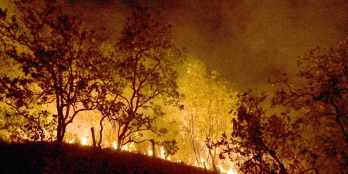 Imagem referente a Queimadas persistem na Amazônia; cidades do PA superam mil focos