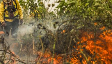 Imagem referente a Brasil já registrou mais de 154 mil focos de calor este ano