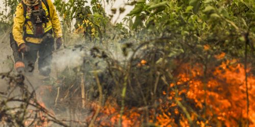 Imagem referente a Brasil já registrou mais de 154 mil focos de calor este ano