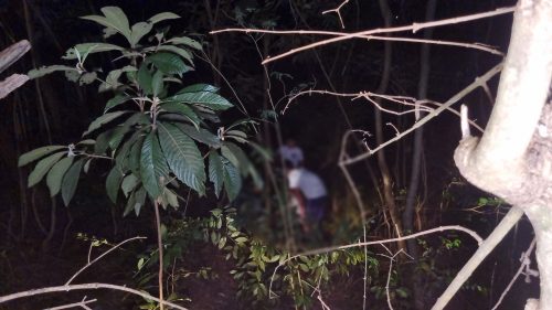 Imagem referente a Menina “voa” de bicicleta e vai parar no meio do mato no Guarujá