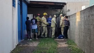 Criança é atacada por Pitbull no bairro Morumbi