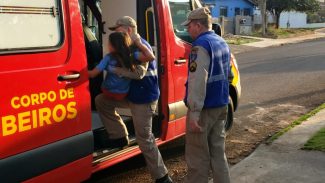 Pitbull da família atacou criança visitante, relata oficial dos Bombeiros