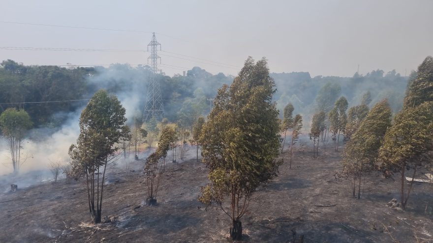 Bombeiros combatem grande incêndio ambiental às margens do Trevo Cataratas