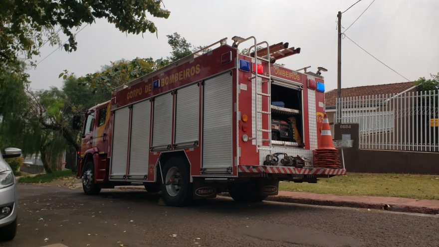Gambá se esconde embaixo de cama em residência na Rua Paraná