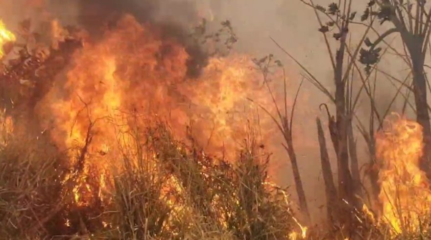 Mais um incêndio ambiental é registrado em Cascavel, desta vez no bairro Esmeralda
