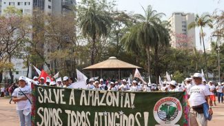 Movimentos realizam manifestações em defesa da Amazônia