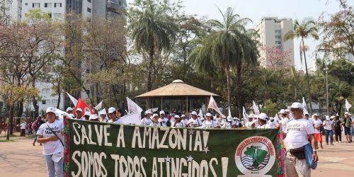 Imagem referente a Movimentos realizam manifestações em defesa da Amazônia