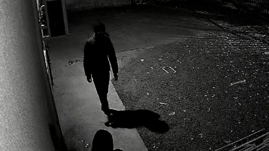 Veja o vídeo: vigilante é assassinado com tiro nas costas ao verificar invasão em empresa no PR