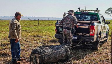 Imagem referente a Objeto misterioso cai do céu em fazenda no Mato Grosso