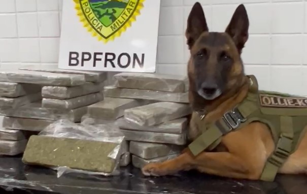 BPFron apreende 24 kg de maconha em ônibus durante operação em Cascavel