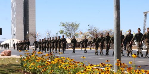 Imagem referente a Brasília: desfile de 7 de Setembro terá este ano três eixos temáticos