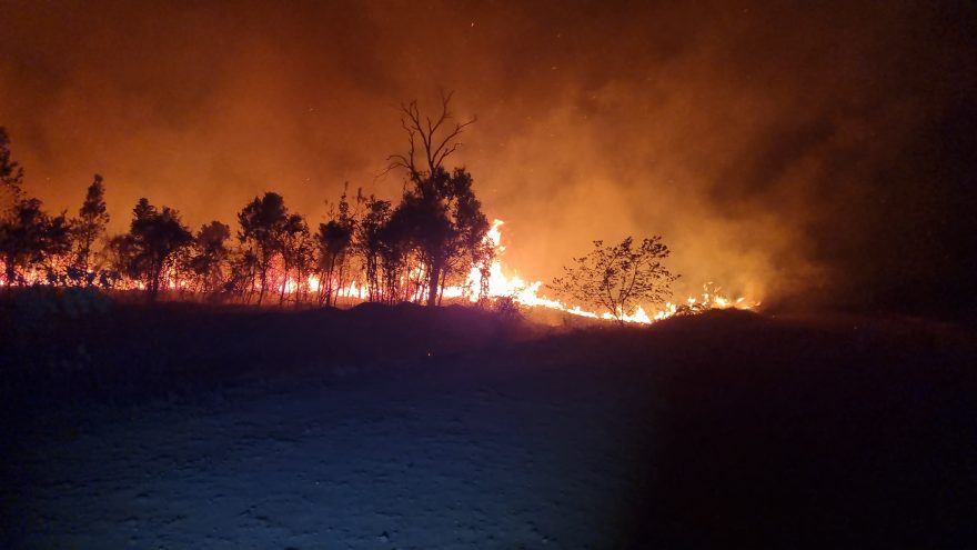 Incêndio devasta 20 mil metros quadrados de mata em área rural de Cascavel