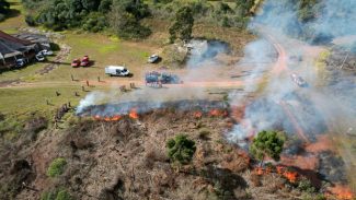 Para prevenir incêndios, Paraná suspende por 90 dias queima controlada no campo