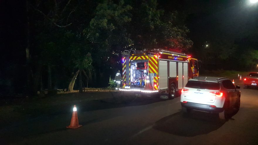 Bombeiros combatem incêndios em áreas próximas no Neva e Pioneiros