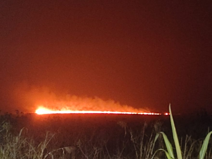 Incêndios simultâneos atingem área de vegetação às margens da PR-180