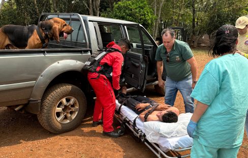 Imagem referente a Homem que estava desaparecido é localizado em meio à mata com apoio do Falcão e de cão farejador