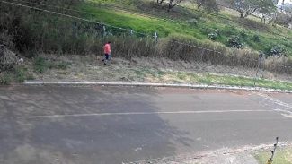 Homem que foi preso por atear fogo em vegetação é solto