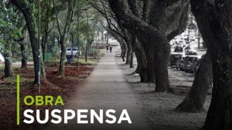 MPPR obtém liminar para suspensão de obras com corte de 200 árvores na Av. Presidente Arthur da Silva Bernardes, em Curitiba