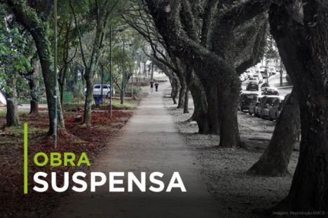 Imagem referente a MPPR obtém liminar para suspensão de obras com corte de 200 árvores na Av. Presidente Arthur da Silva Bernardes, em Curitiba