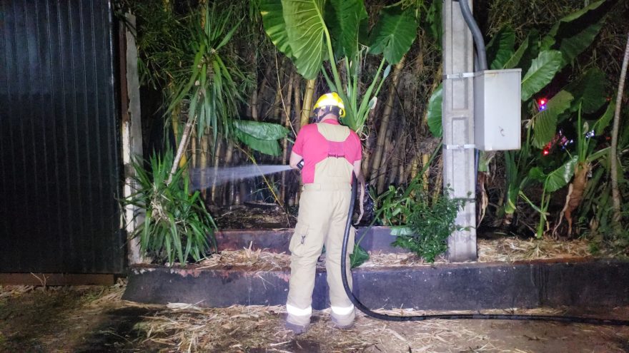 Corpo de Bombeiros combate incêndio em bambuzal no Bairro Canadá; esse é o oitavo do dia