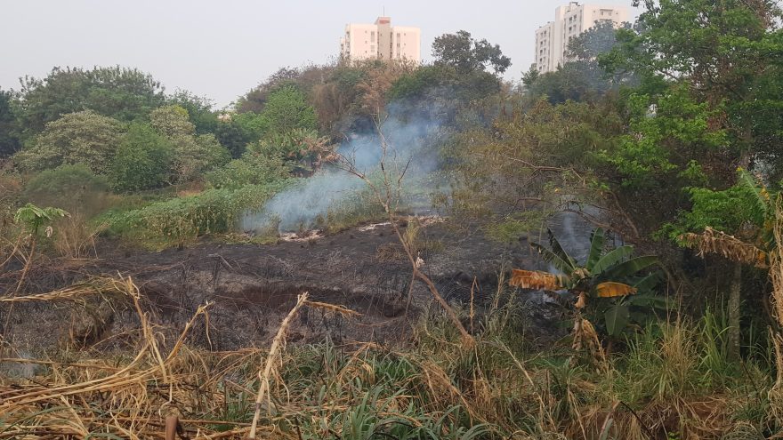 Bombeiros combatem o quinto incêndio em vegetação do dia