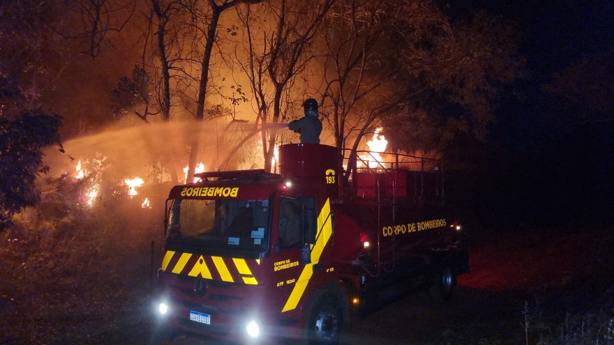 Incêndio de grandes proporções atinge área de vegetação na rodovia BR-369