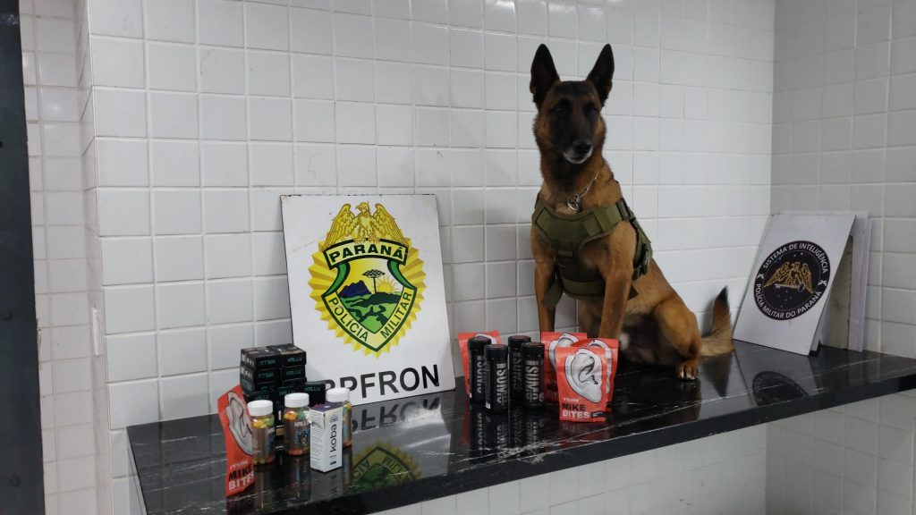Com ajuda de cão farejador, BPFron apreende ilícitos e cigarros eletrônicos na BR-277 em Cascavel Com ajuda de cão farejador, BPFron apreende ilícitos e cigarros eletrônicos na BR-277 em Cascavel