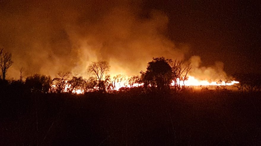 Incêndio de grandes proporções atinge vegetação no Veneza