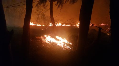 Imagem referente a Fogaréu! Incêndio em vegetação no Veneza se alastra ainda mais