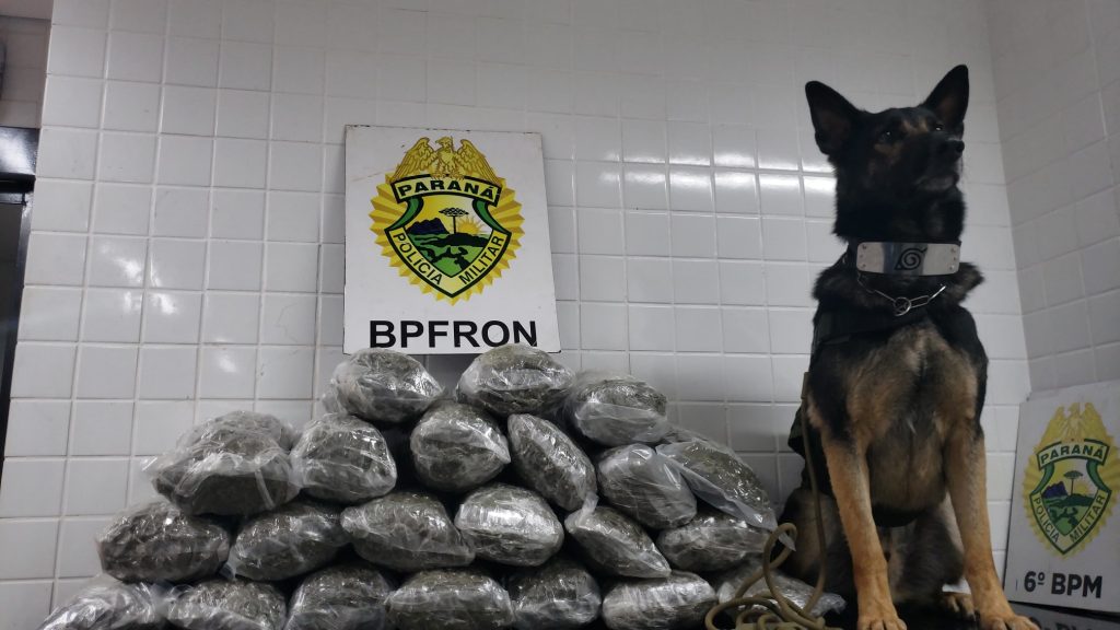 Dupla é detida com capulho de maconha após abordagem em ônibus na BR 277 em Cascavel