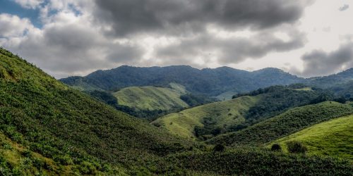 Imagem referente a Operação contra o desmatamento da Mata Atlântica começa em 17 estados