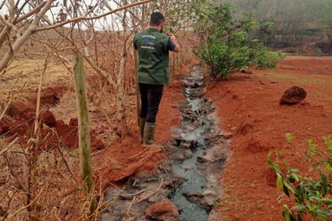 Imagem referente a Suinocultor é multado em R$ 100 mil por infração ambiental em córrego de Toledo