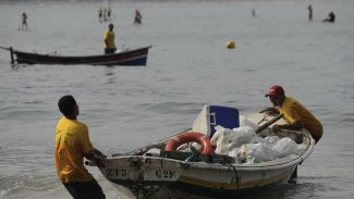 Mutirão de ativistas abre festival sobre oceanos em São Paulo