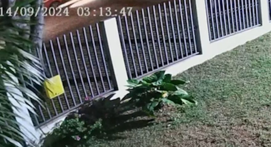 Fox é flagrado passando em alta velocidade antes de atingir muro no bairro Parque São Paulo