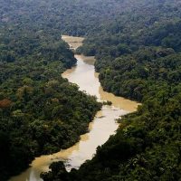 Imagem referente a Governo entra com primeira ação por danos climáticos contra a Amazônia