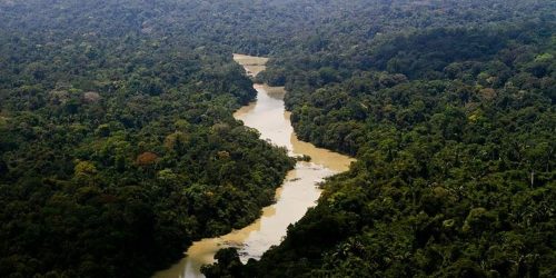 Imagem referente a Governo entra com primeira ação por danos climáticos contra a Amazônia