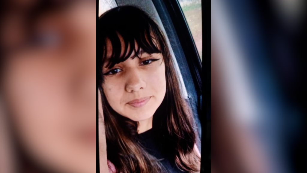 Adolescente de 14 anos desaparece após sair do colégio do Bairro Maria Luiza