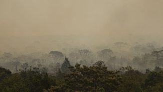 Parque de Brasília: fogo vira subterrâneo mas pode voltar à superfície