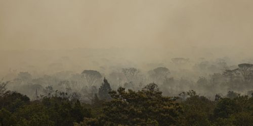 Imagem referente a Parque de Brasília: fogo vira subterrâneo mas pode voltar à superfície