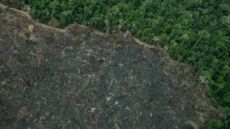 Terra Indígena Karipuna de Rondônia tem cenário de incêndio e seca