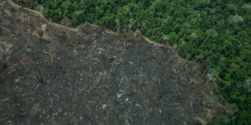 Imagem referente a Terra Indígena Karipuna de Rondônia tem cenário de incêndio e seca