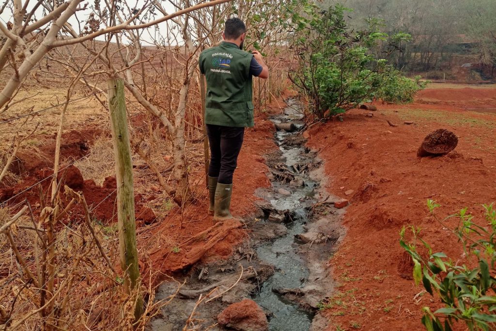 Suinocultor de Toledo é multado em R$ 100 Mil por descarte de dejetos em córrego