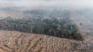 Fogo na Amazônia é etapa da exploração econômica do bioma