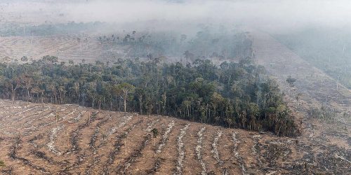 Imagem referente a Fogo na Amazônia é etapa da exploração econômica do bioma