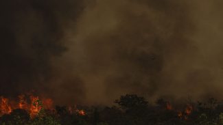 Chuva ajuda a apagar incêndio no Parque da Serra dos Órgãos, no Rio