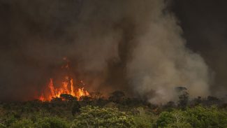 Incêndios podem ter afetado mais de 11 milhões de pessoas no Brasil