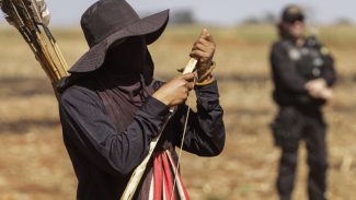 Jovem guarani kaiowá é baleado na cabeça em retomada de fazenda